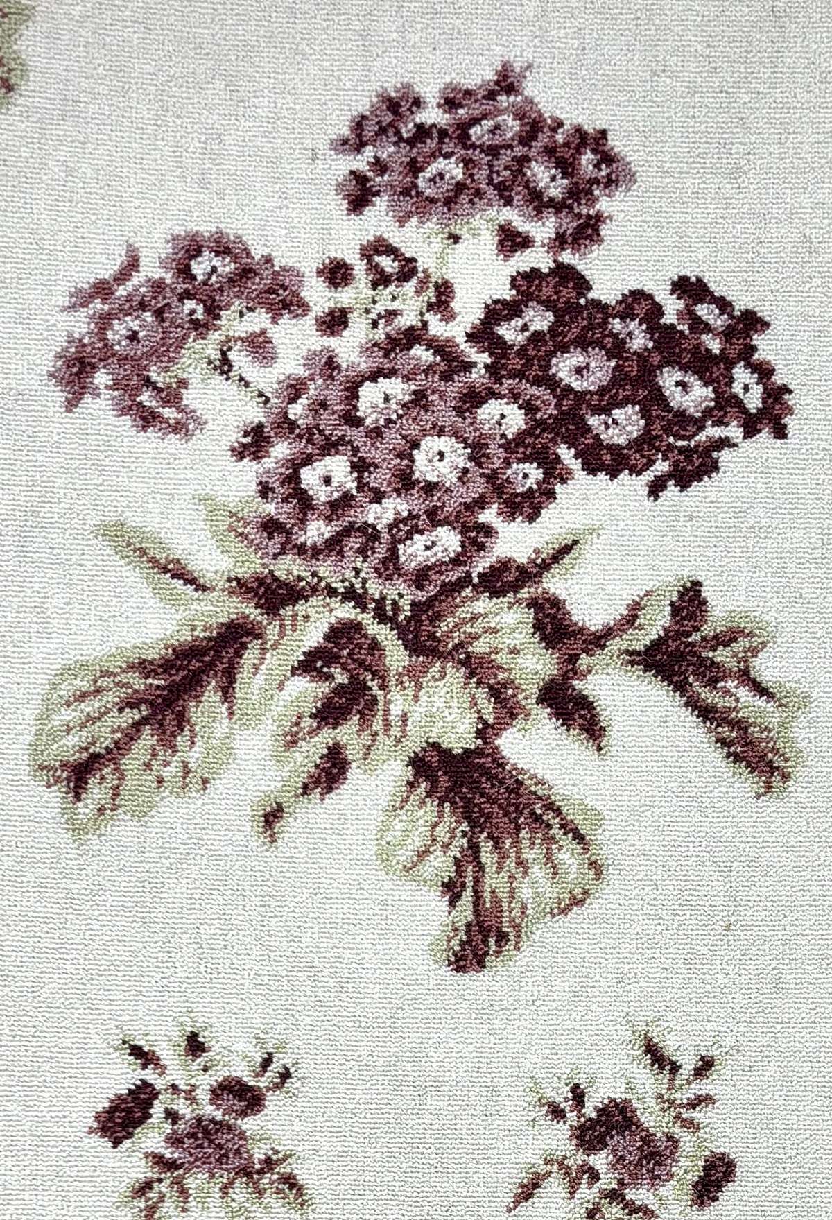 Standard_Auricula