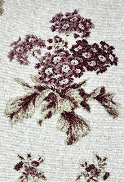 Standard_Auricula