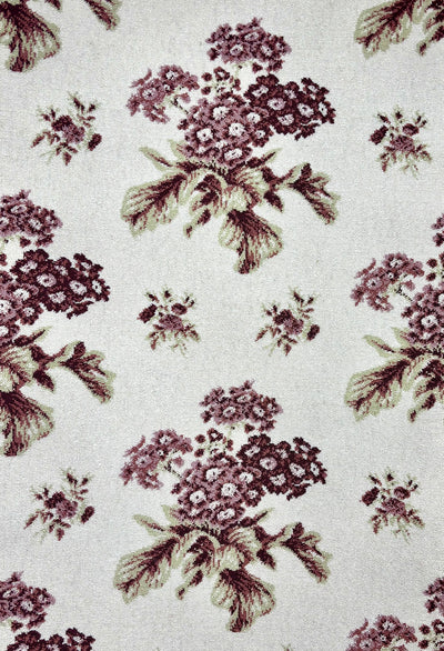 Standard_Auricula