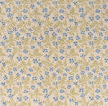Forget-Me-Knot