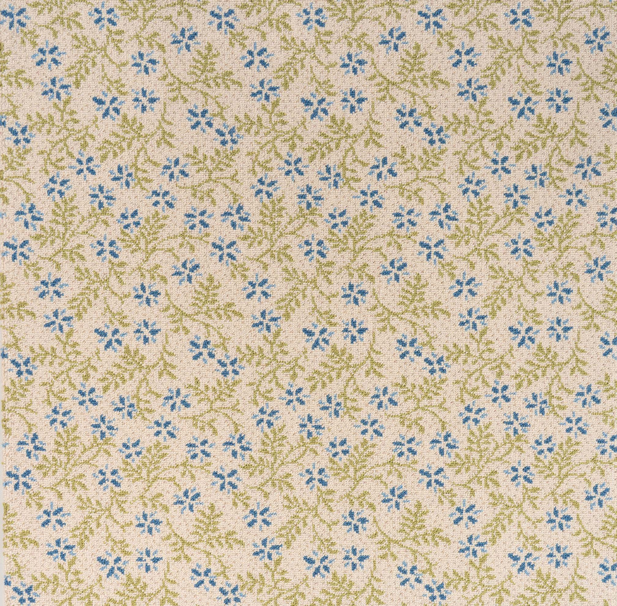Forget-Me-Knot_Betsy