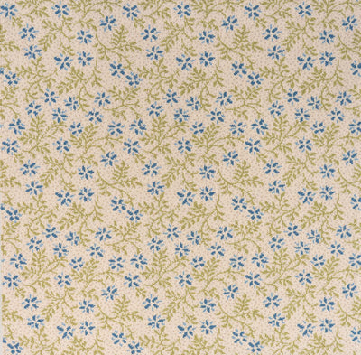 Forget-Me-Knot_Betsy
