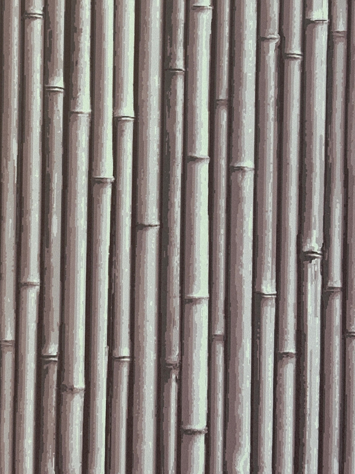 NHP-PAL-07 Clouded Lilac_Palm Beach
