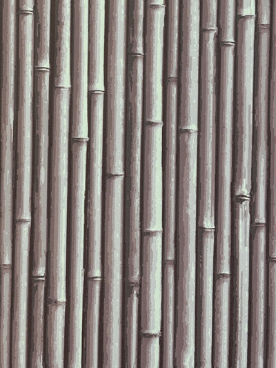 NHP-PAL-07 Clouded Lilac_Palm Beach