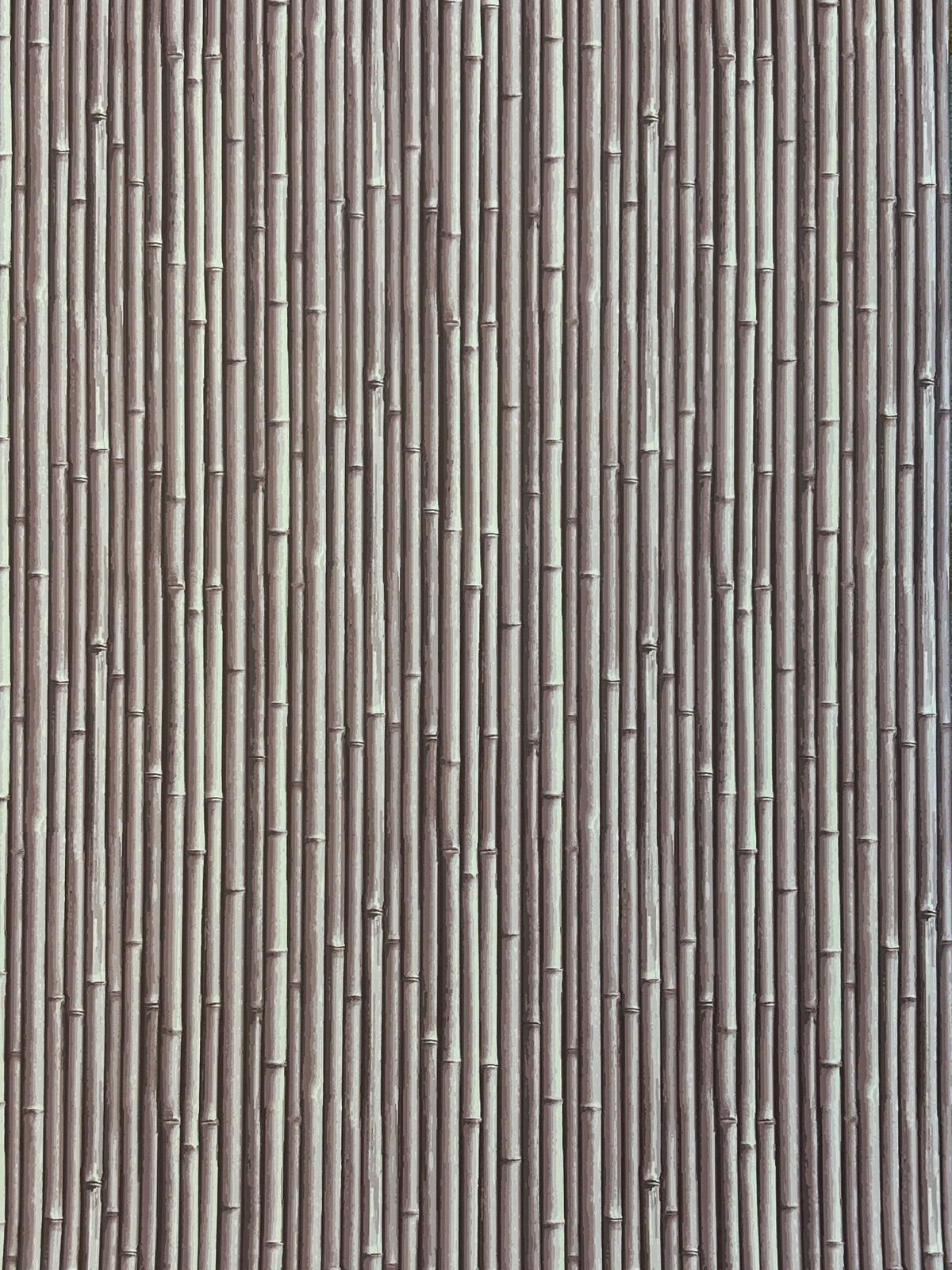 NHP-PAL-07 Clouded Lilac_Palm Beach