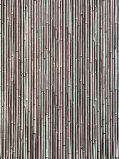 NHP-PAL-07 Clouded Lilac_Palm Beach