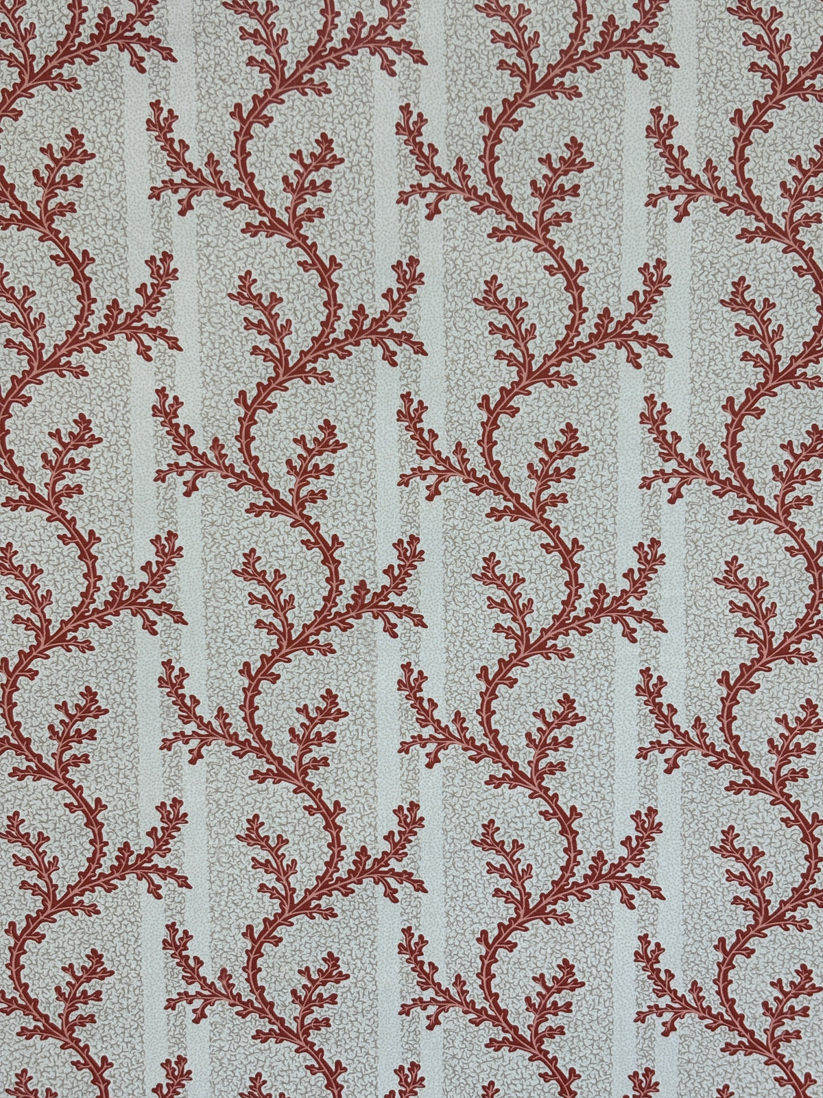 JM-1444 Coral/Buff_Coral Stripe