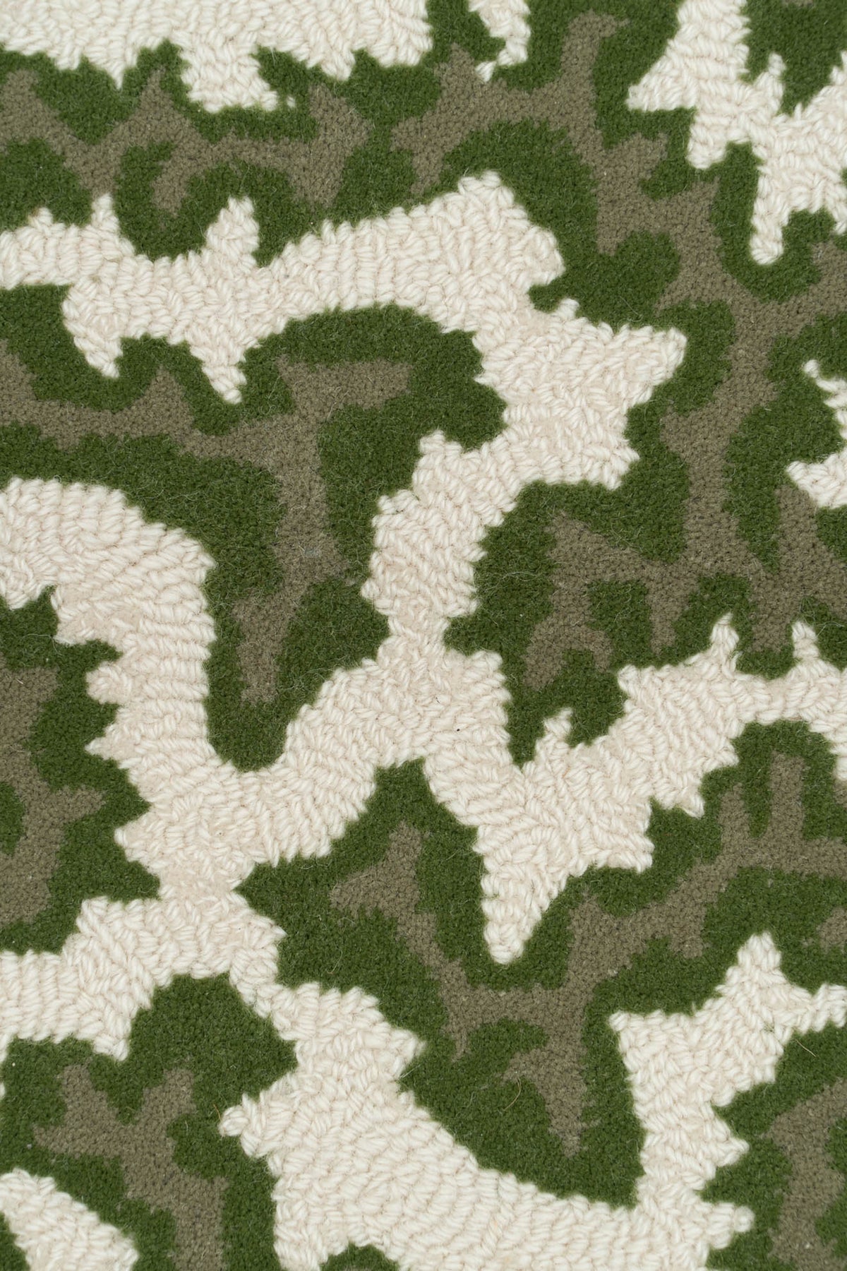 Lichen_Crackle