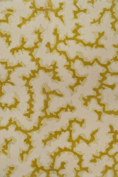 Grapefruit_Crackle