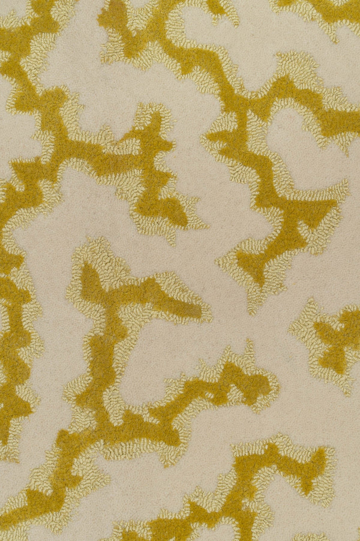 Grapefruit_Crackle