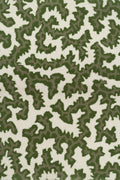 Lichen