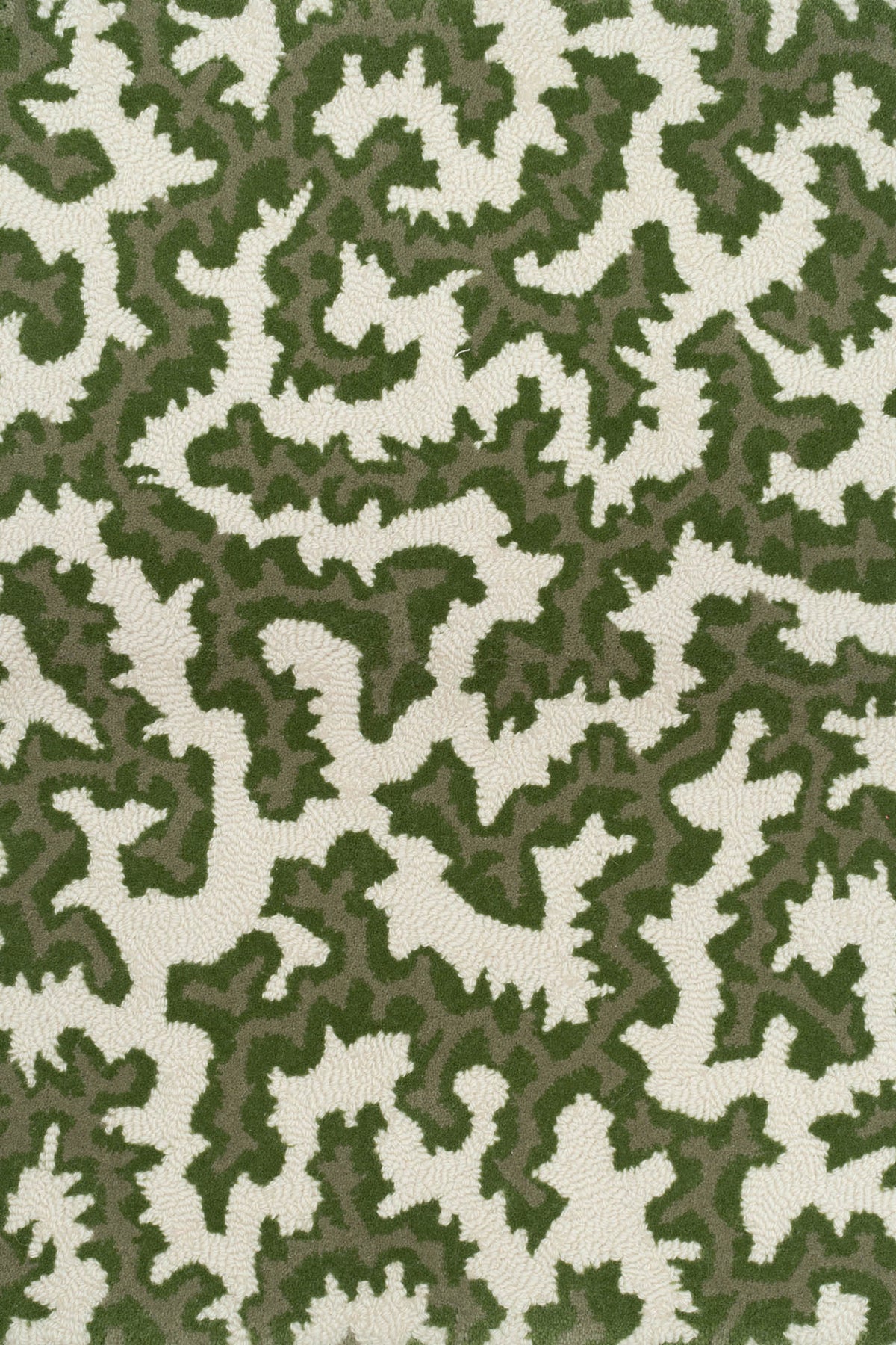 Lichen_Crackle