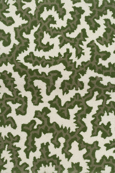 Lichen_Crackle
