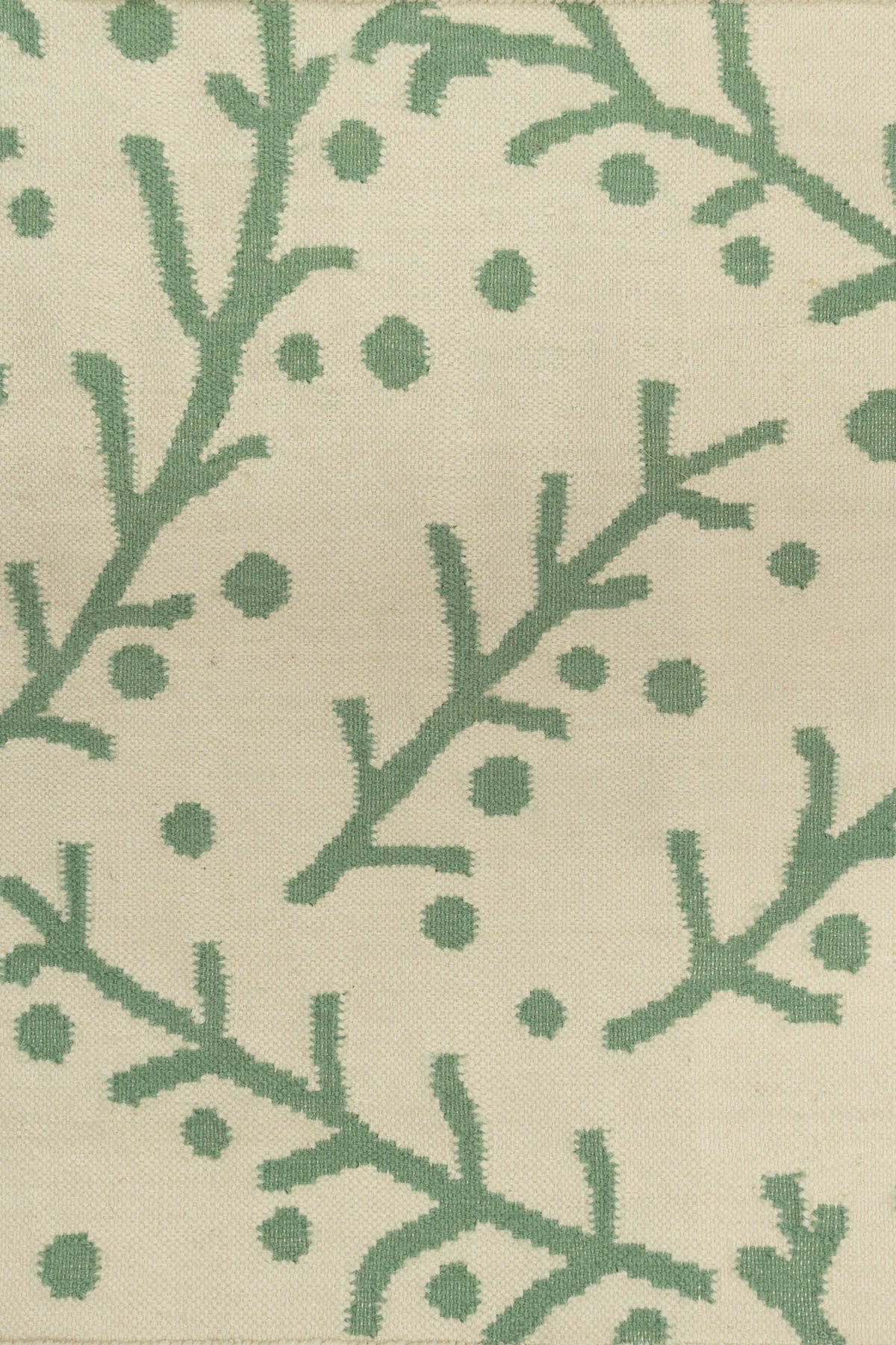 Green/Natural_Squeak