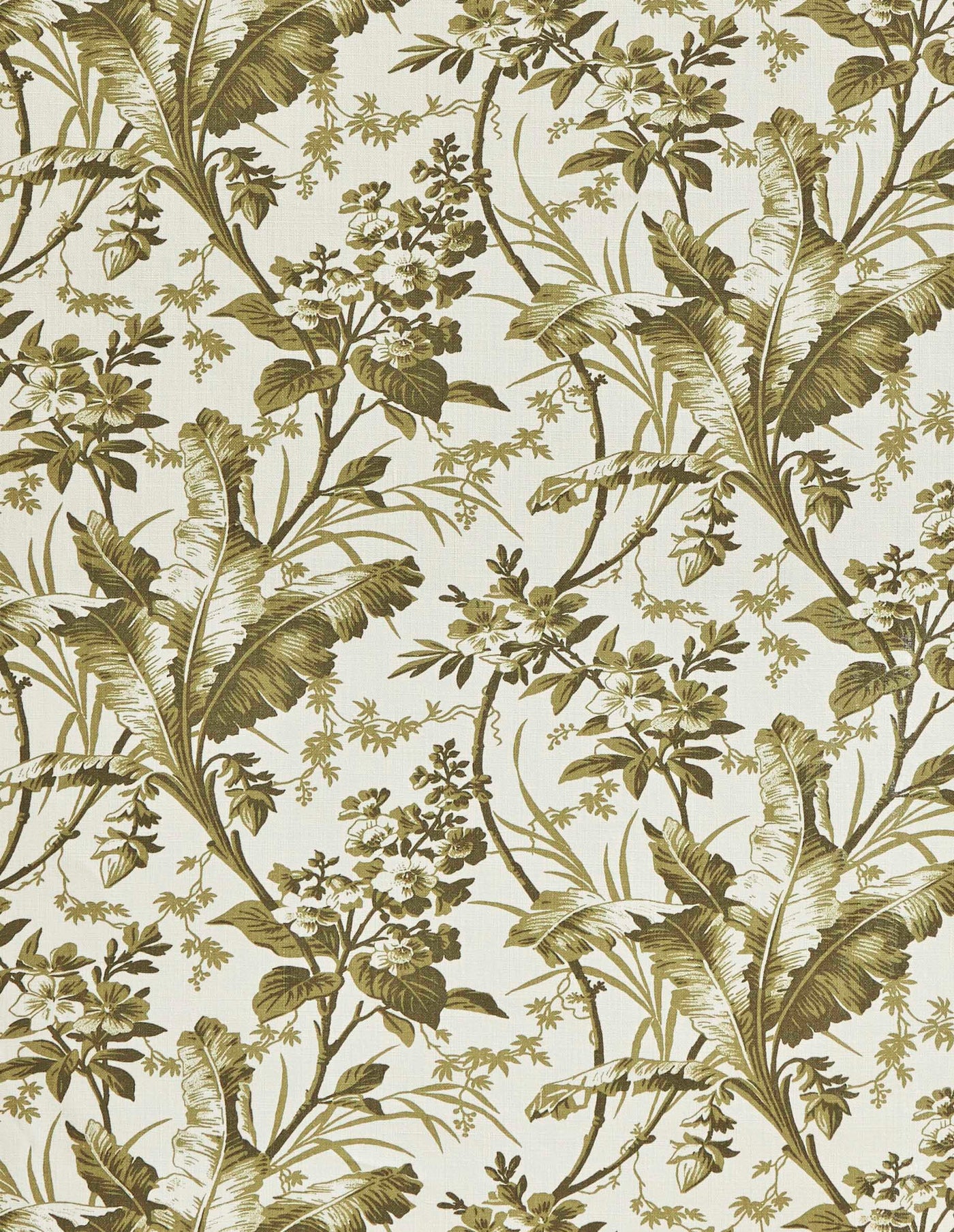 jm-1198 lichen_FERNBROOK