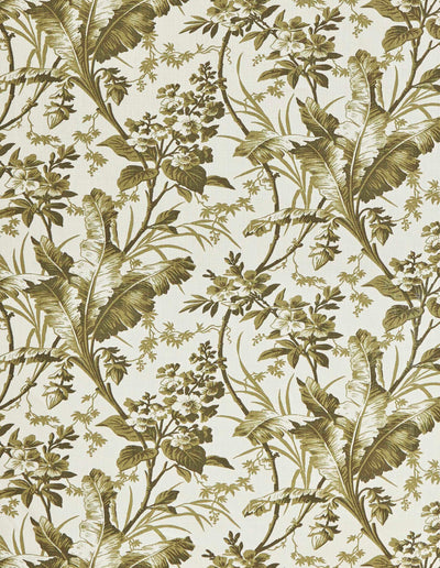 jm-1198 lichen_FERNBROOK