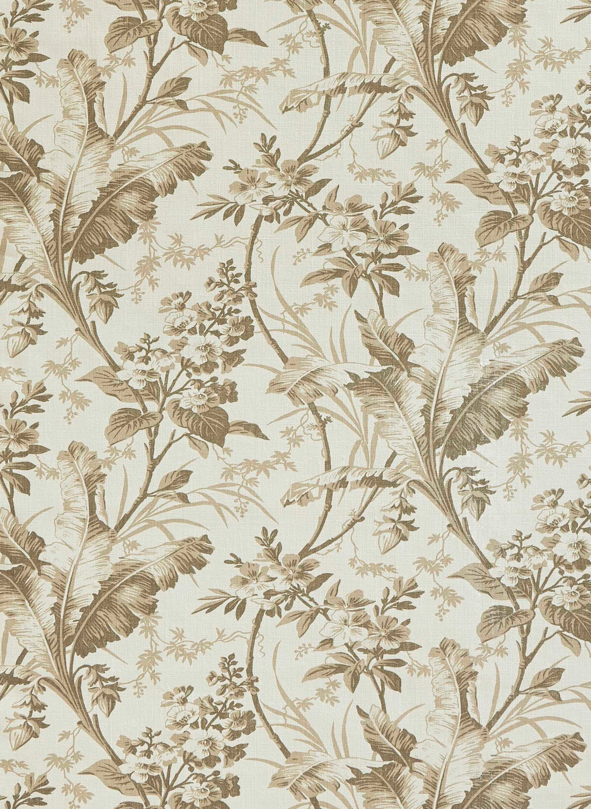 jm-1197 marron glace_FERNBROOK
