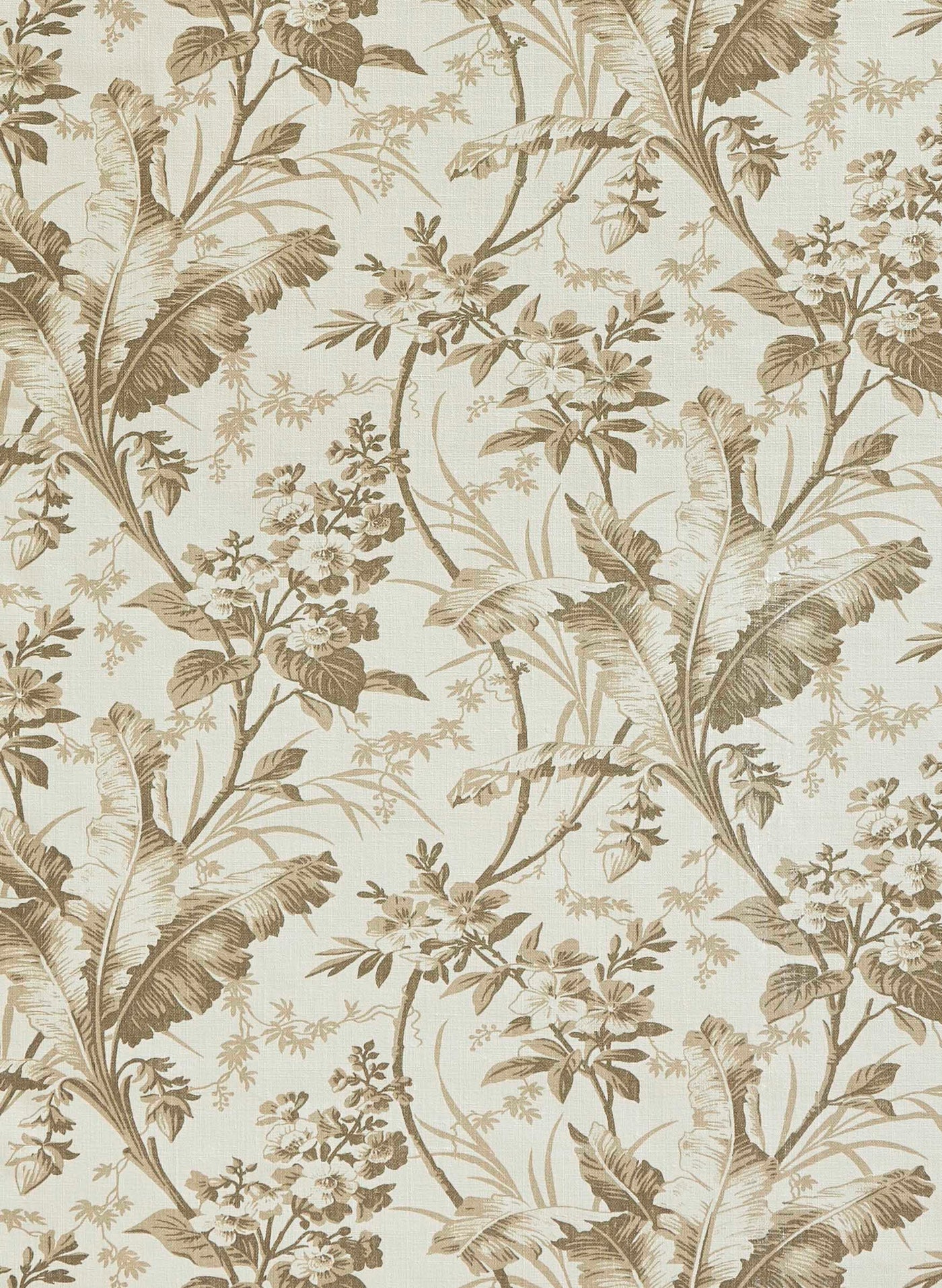 jm-1197 marron glace_FERNBROOK