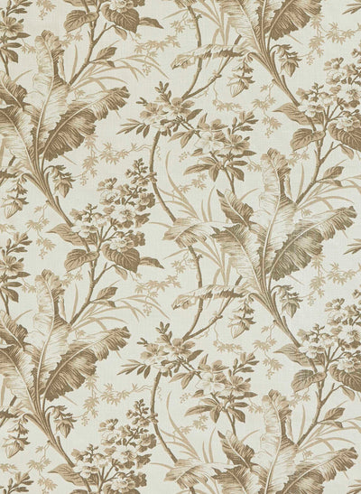 jm-1197 marron glace_FERNBROOK