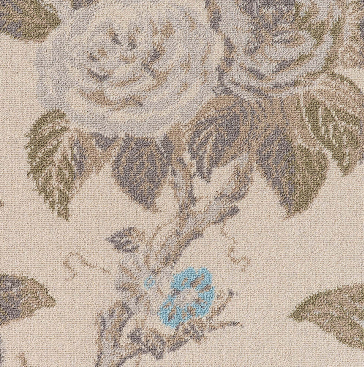 Coffee Fawn_Hydrangea Rose