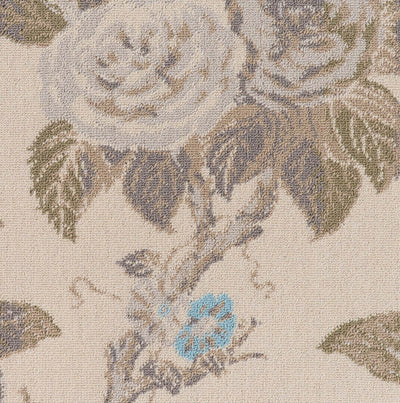 Coffee Fawn_Hydrangea Rose