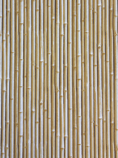 NHP-PAL-02 Haystack Yellow_Palm Beach