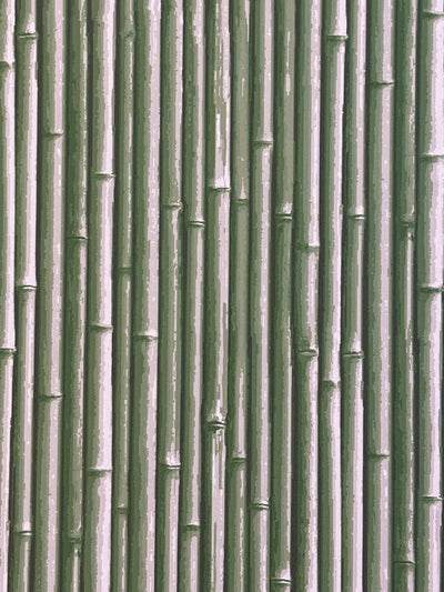NHP-PAL-01 New Mown Green_Palm Beach