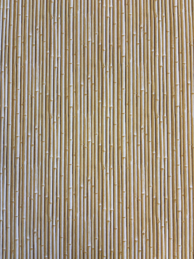 NHP-PAL-02 Haystack Yellow_Palm Beach