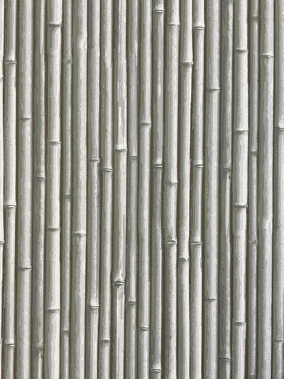 NHP-PAL-09 Green Olive_Palm Beach