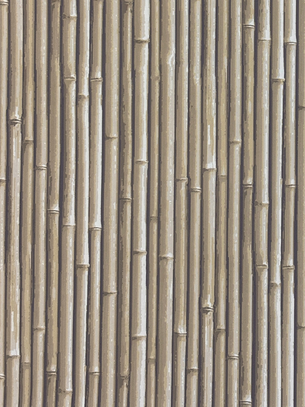 NHP-PAL-10 Moonlight Beige_Palm Beach