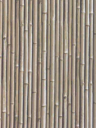 NHP-PAL-10 Moonlight Beige_Palm Beach
