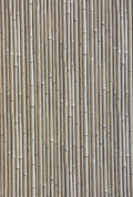 NHP-PAL-10 Moonlight Beige