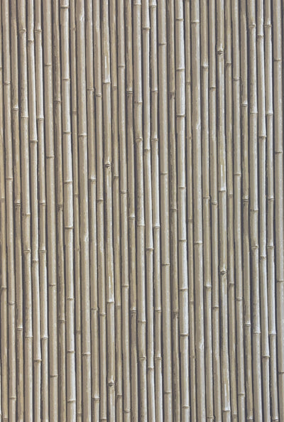 NHP-PAL-10 Moonlight Beige_Palm Beach
