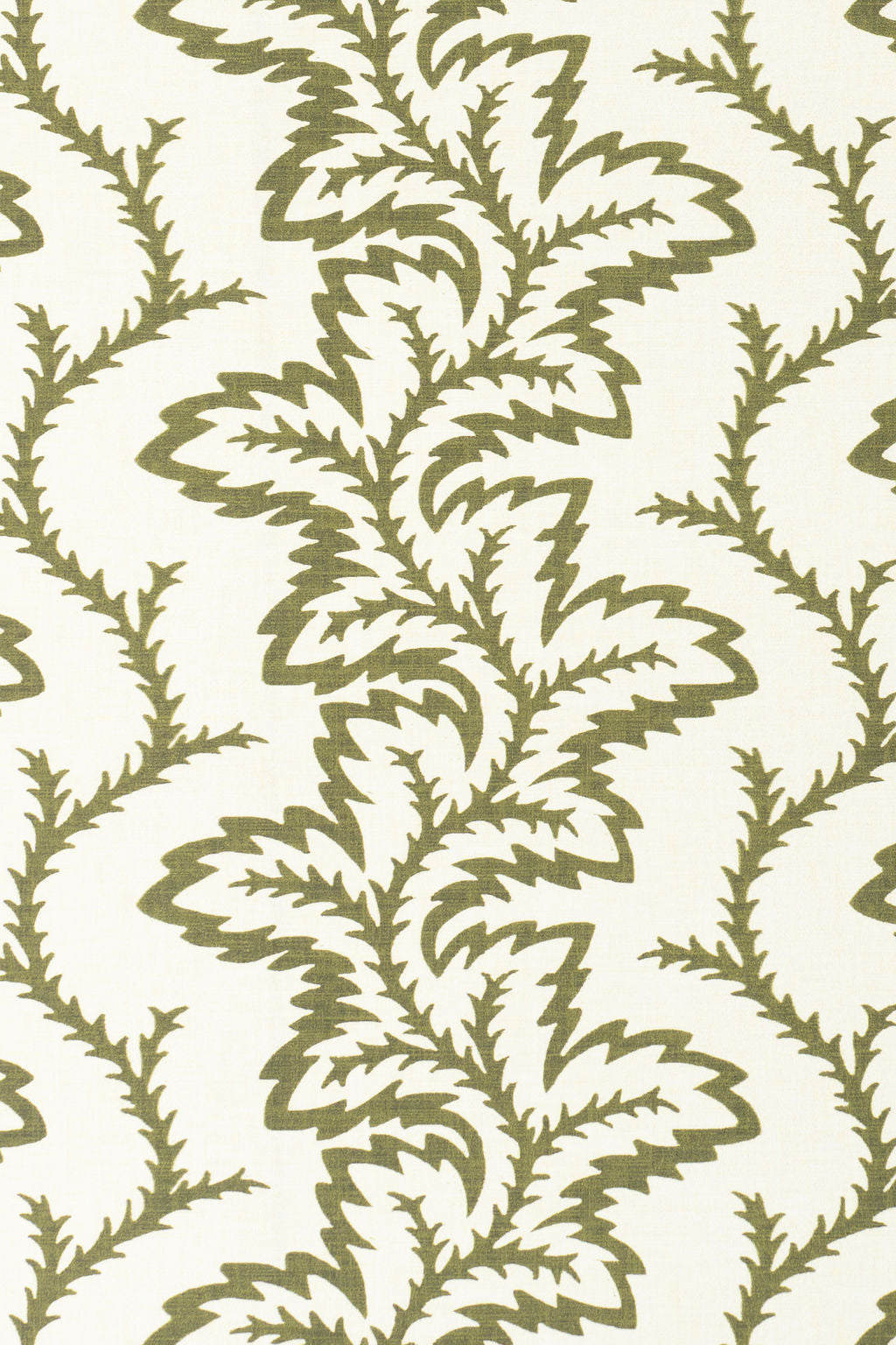 9-green olive_SEAFERN Wallpaper