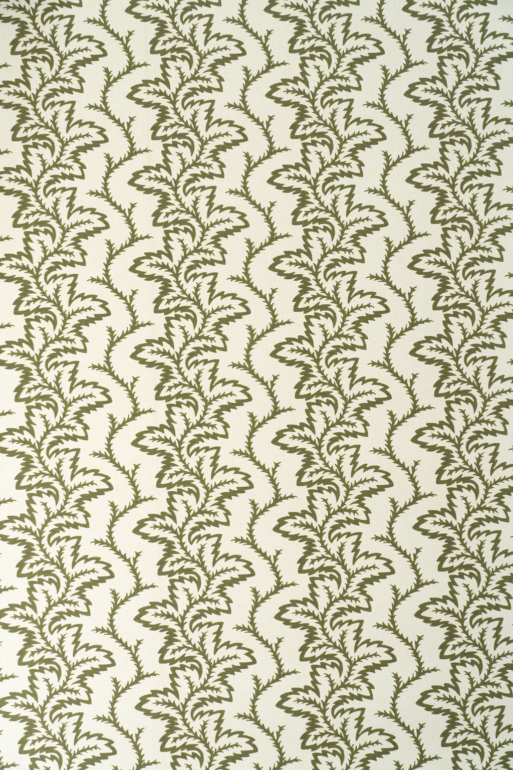 9-green olive_SEAFERN Wallpaper