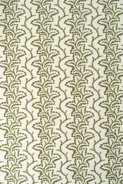 9-green olive_SEAFERN Wallpaper