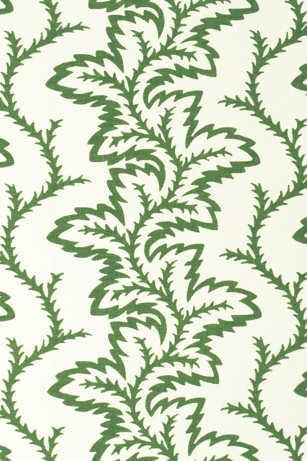 1-NEW MOWN GREEN_Sea Fern