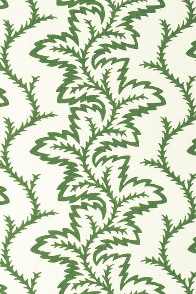 1-NEW MOWN GREEN_Sea Fern