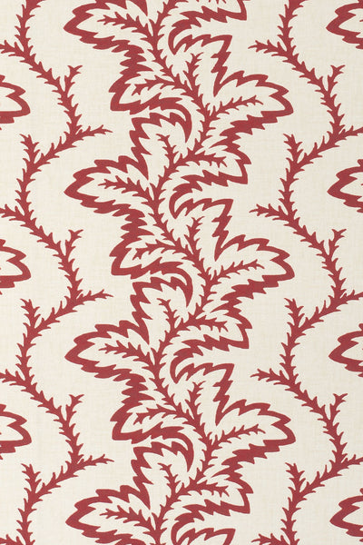 3-pomegrante red_SEAFERN Wallpaper