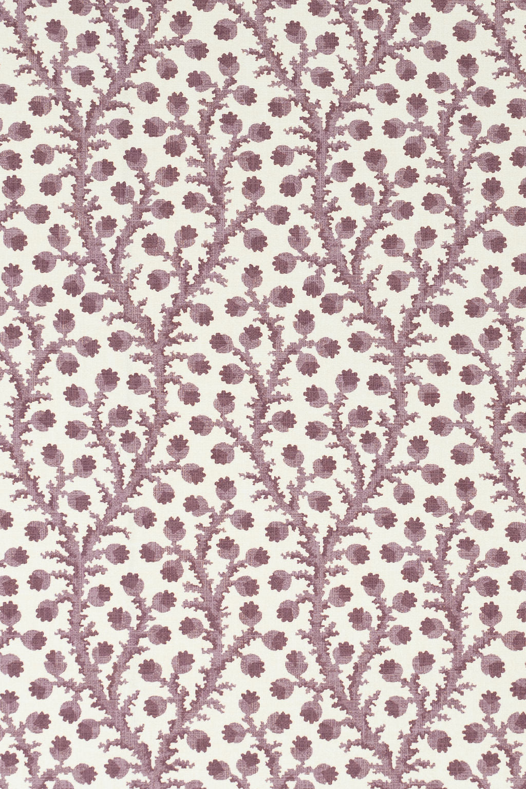 7-clouded lilac_WATERBERRY Wallpaper