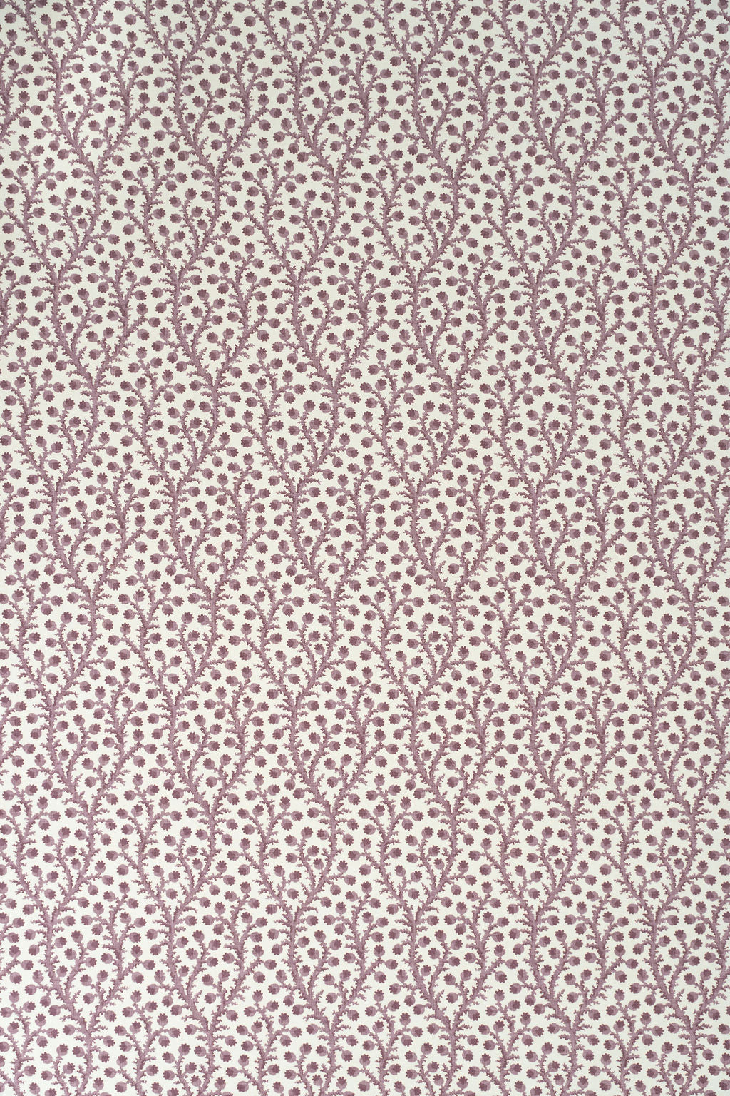 7-clouded lilac_WATERBERRY Wallpaper
