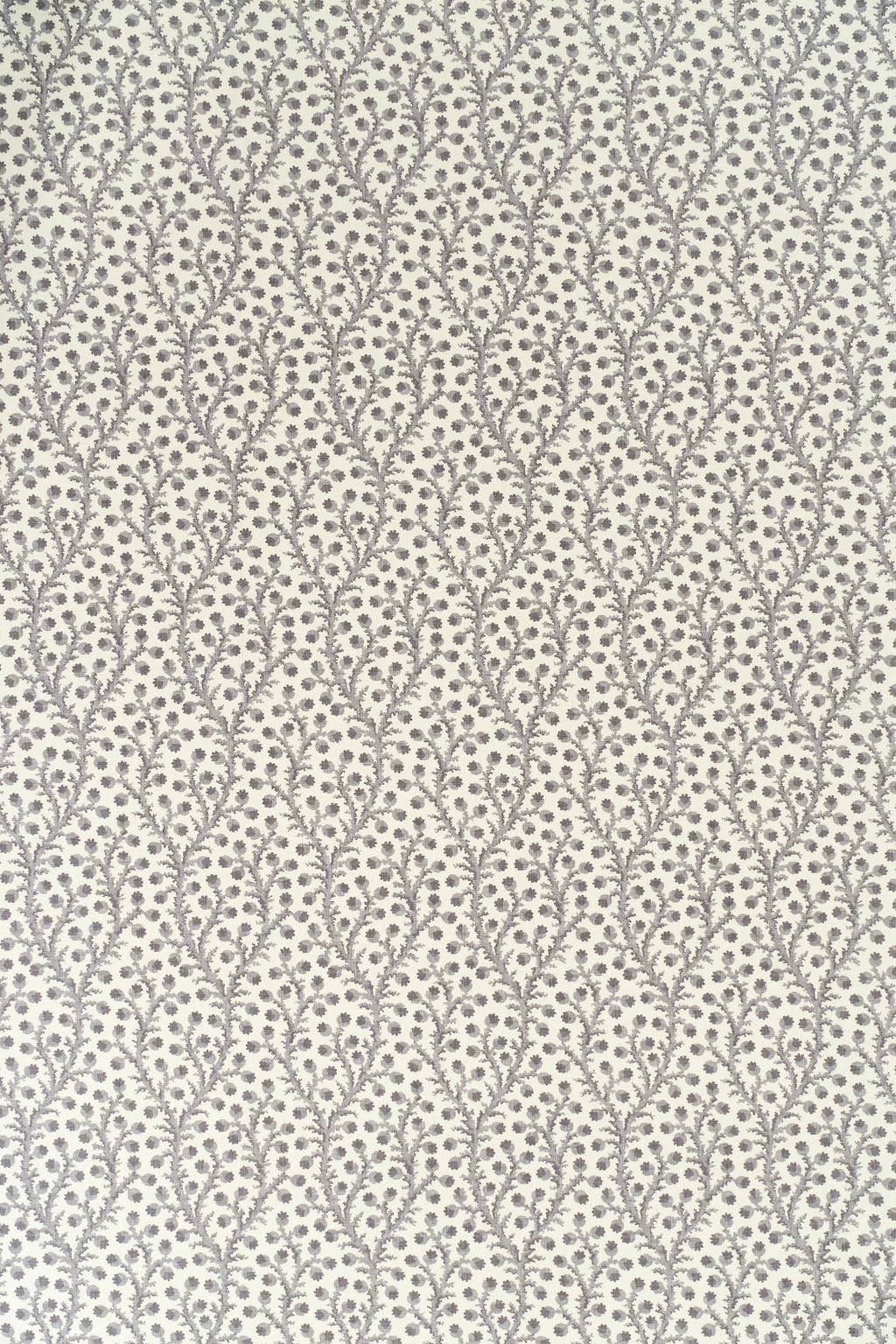 5-dovecote grey_WATERBERRY Wallpaper