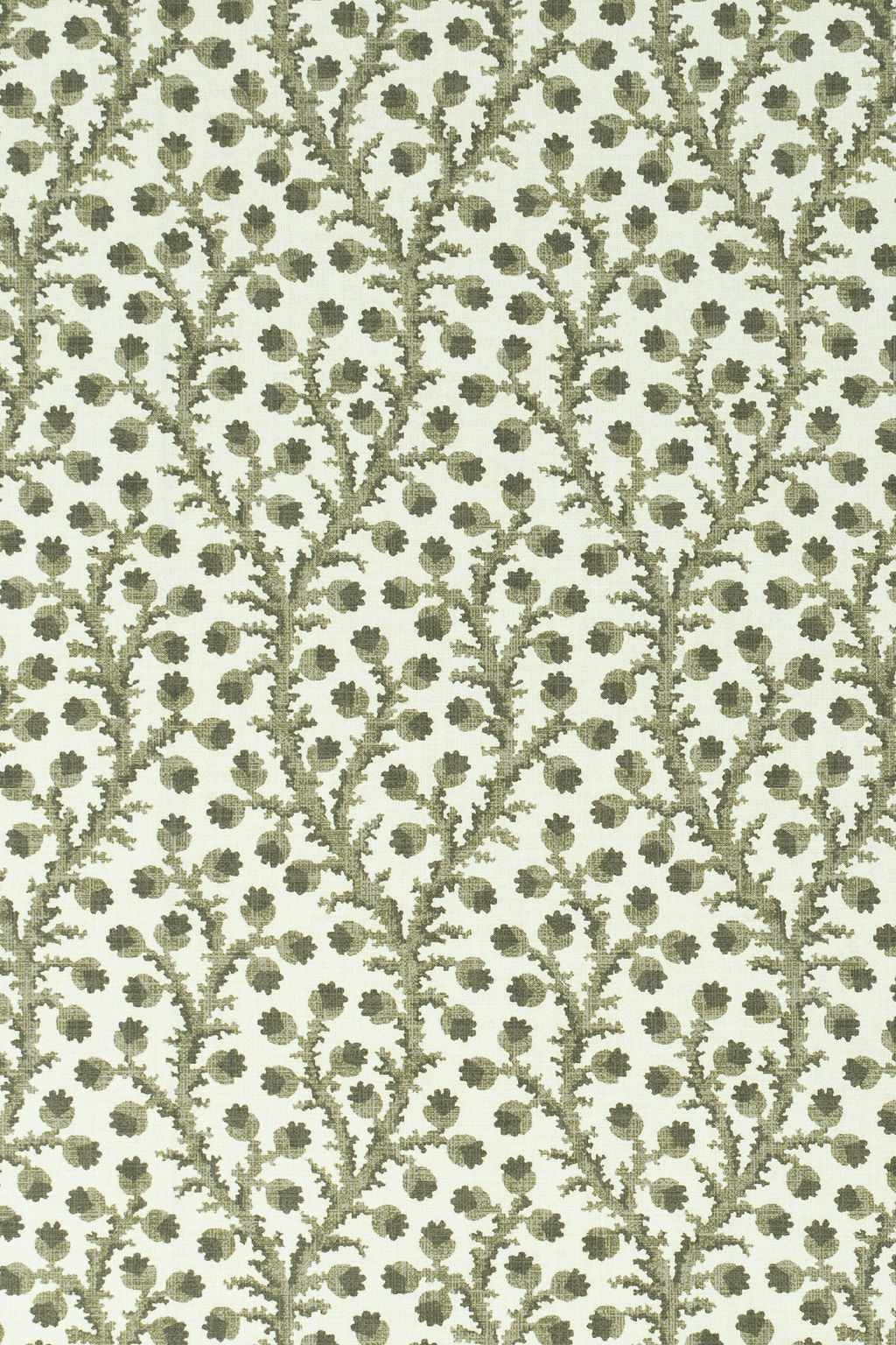 9-green olive_WATERBERRY Wallpaper