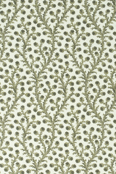 9-green olive_WATERBERRY Wallpaper