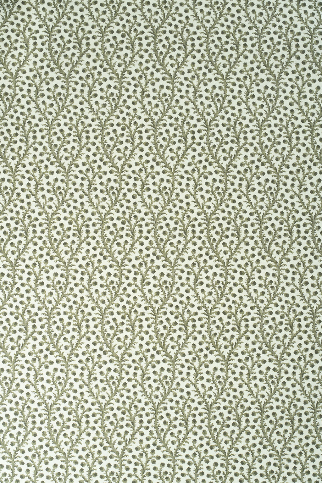 9-green olive_WATERBERRY Wallpaper
