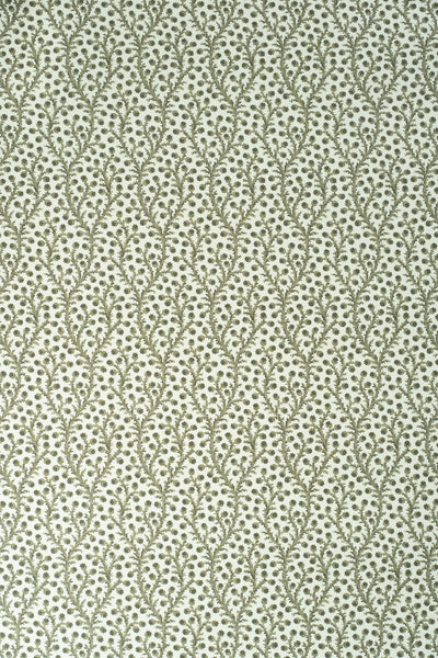 9-green olive_WATERBERRY Wallpaper