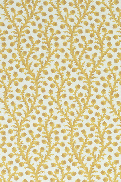 2-haystack yellow_WATERBERRY Wallpaper