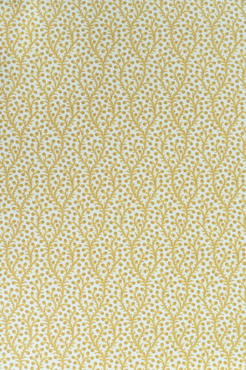 2-haystack yellow_WATERBERRY Wallpaper