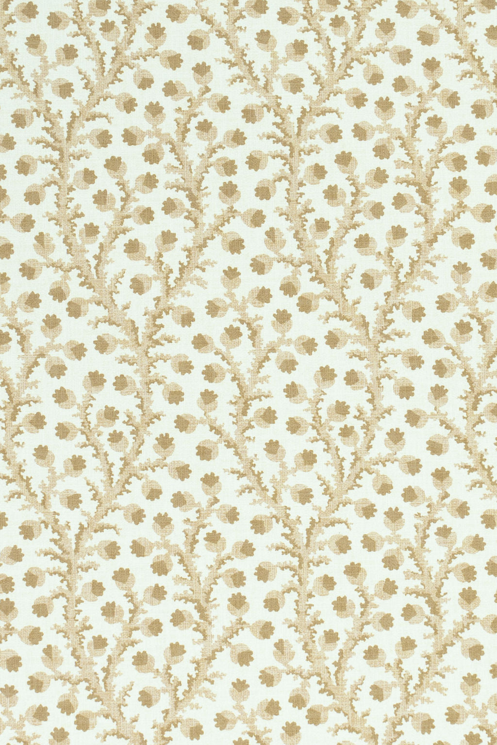 10-moonlight beige_WATERBERRY Wallpaper