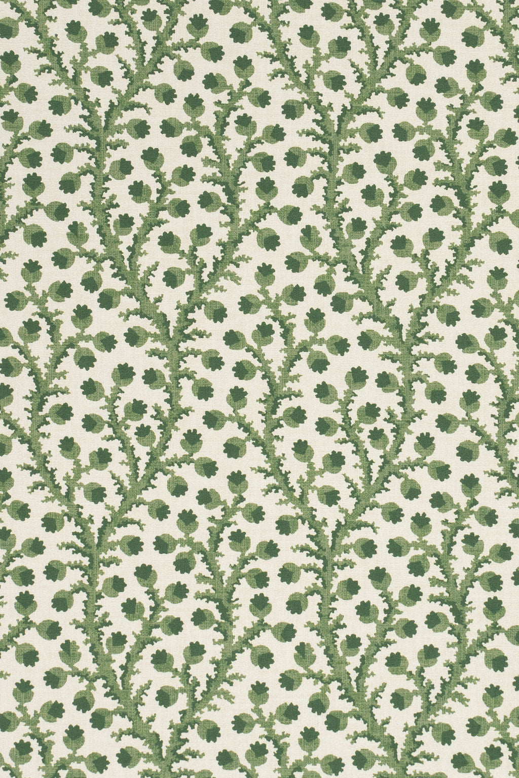 1-new mown green_WATERBERRY Wallpaper